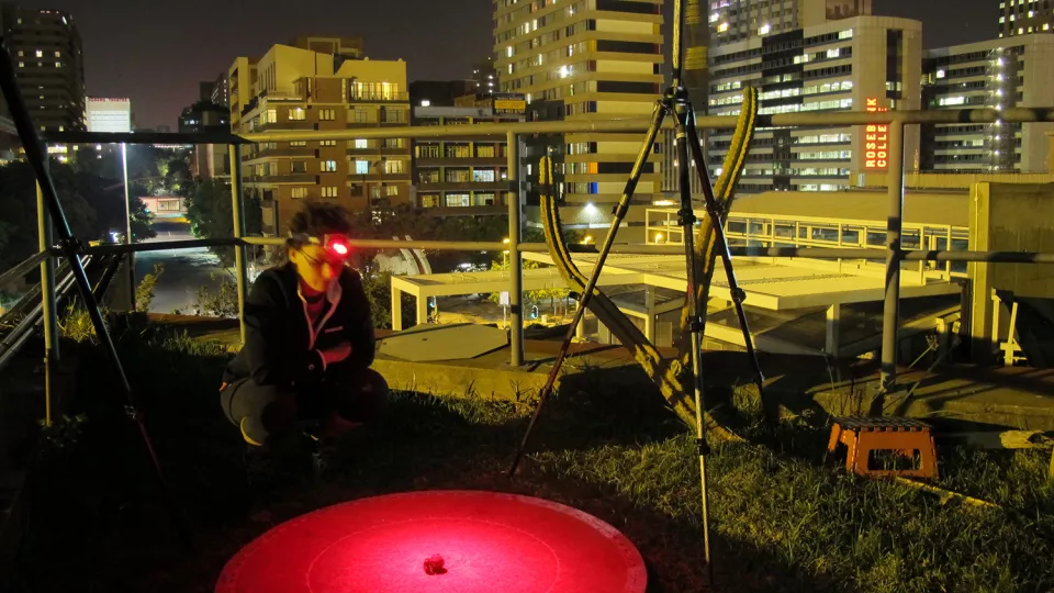 Researcher studies a beetle at night in a city. Photo.