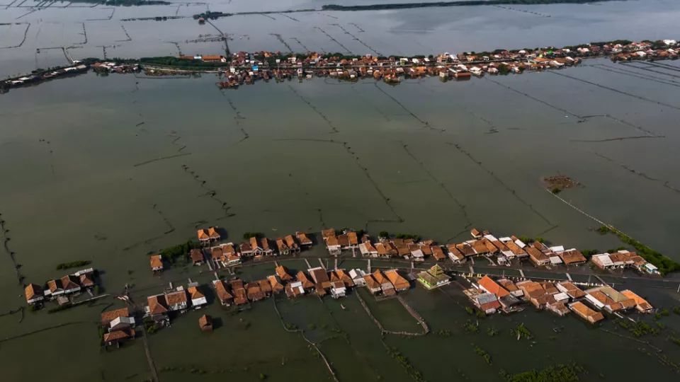 Flooded village. Photo.