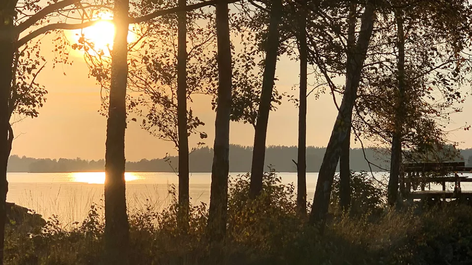 Lake in sunset. Photo.