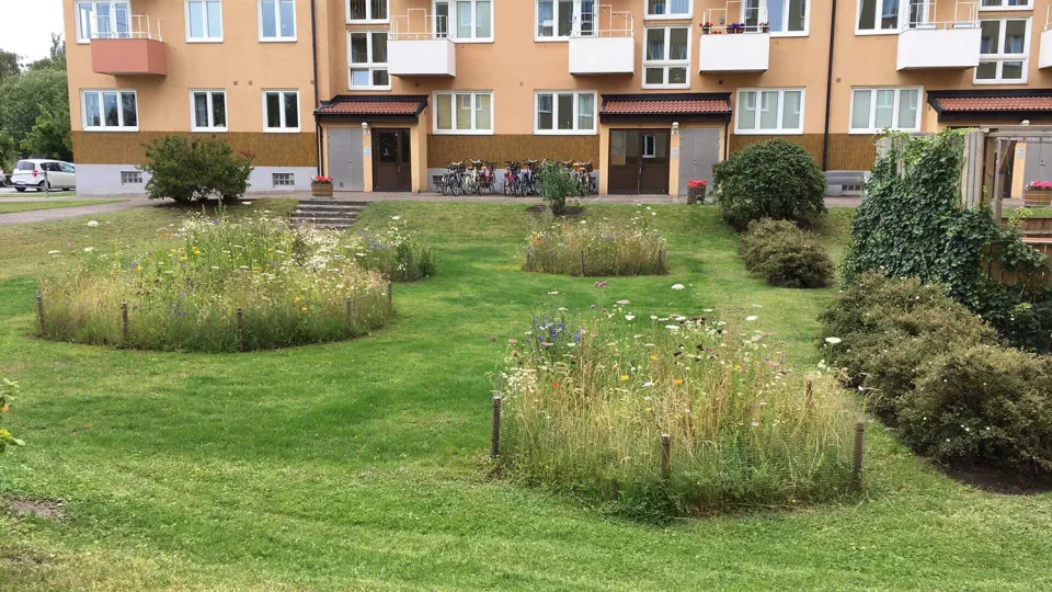 A garden with small meadows and a building in the background. Photo.