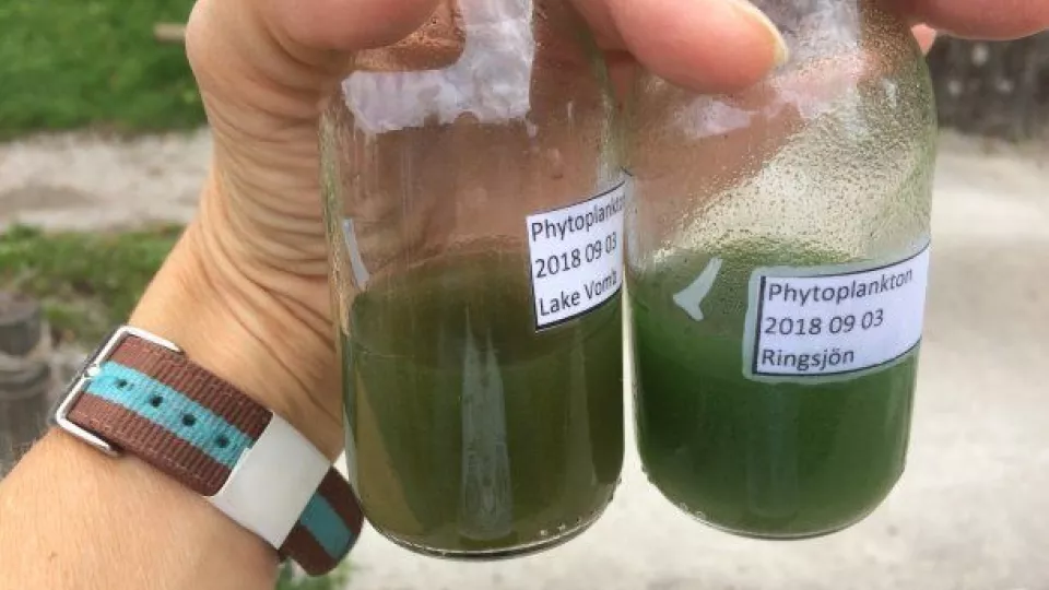 A hand holding two bottles with green liquid. Photo.