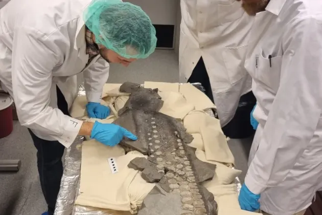 Researchers looking closely at fossil, photo.