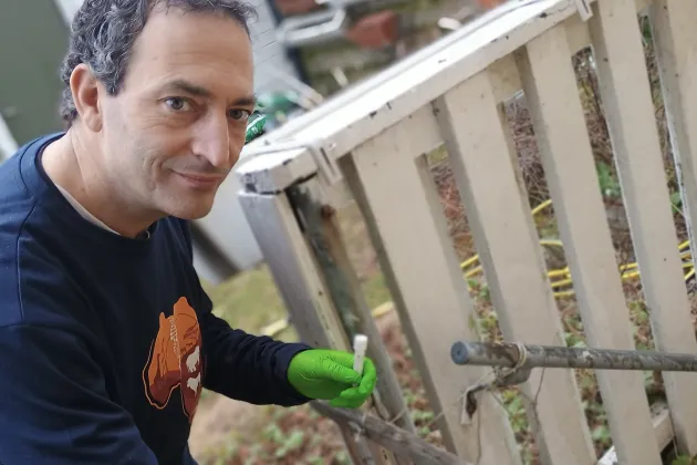 Researcher swabbing. Photo.