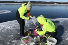 Photo of researchers in the field
