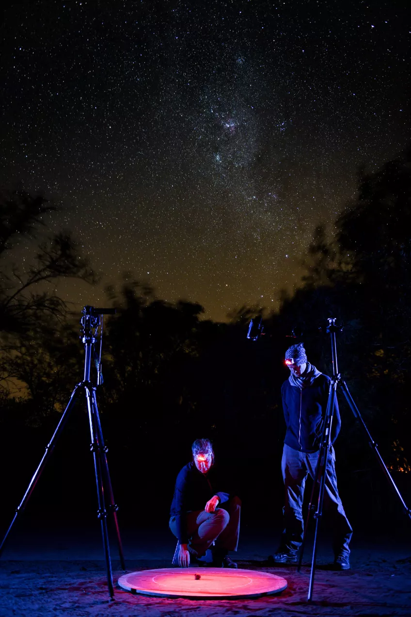Two researchers are studying a beetle in nature at night. Photo.